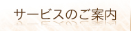 サービスのご案内